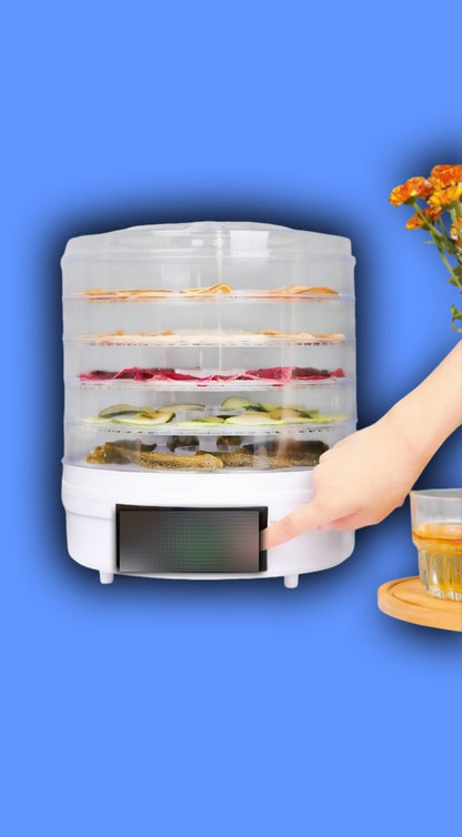 Electric fruit  dryer