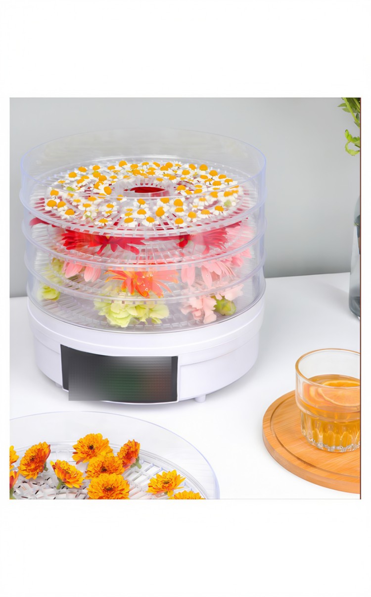 Electric fruit  dryer