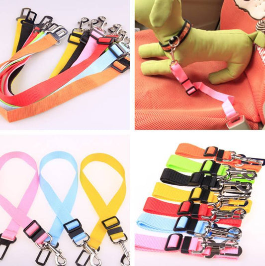 Fixed Strap Polyester Dog LeashOverview：
 
 
 - EASY TO USE
 
 Simply clip one end of the seatbelt onto your pet's harness. Next, secure the other end into a seatbelt slot like you would a regularDog accessoriesesdeepeeEsdeepeeFixed Strap Polyester Dog LeashFixed Strap Polyester Dog Leash